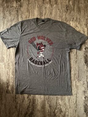 Arkansas State University Red Wolves Baseball Graphic Tee - Gray